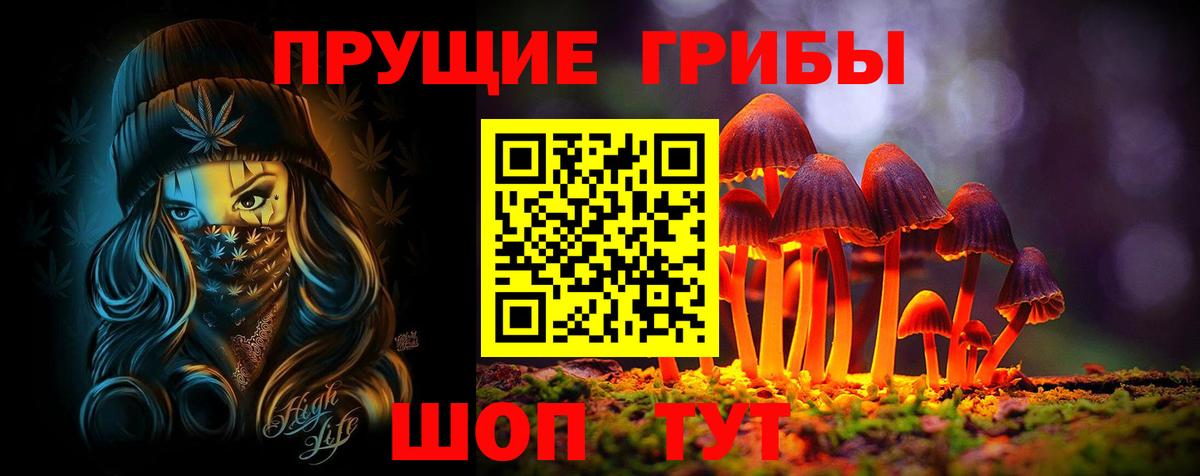 даркнет сайт  Галлюциногенные грибы Psilocybine cubensis  Вход с VPN  Самара 